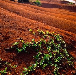下一部《极品飞车》部分细节：将以9代做参考